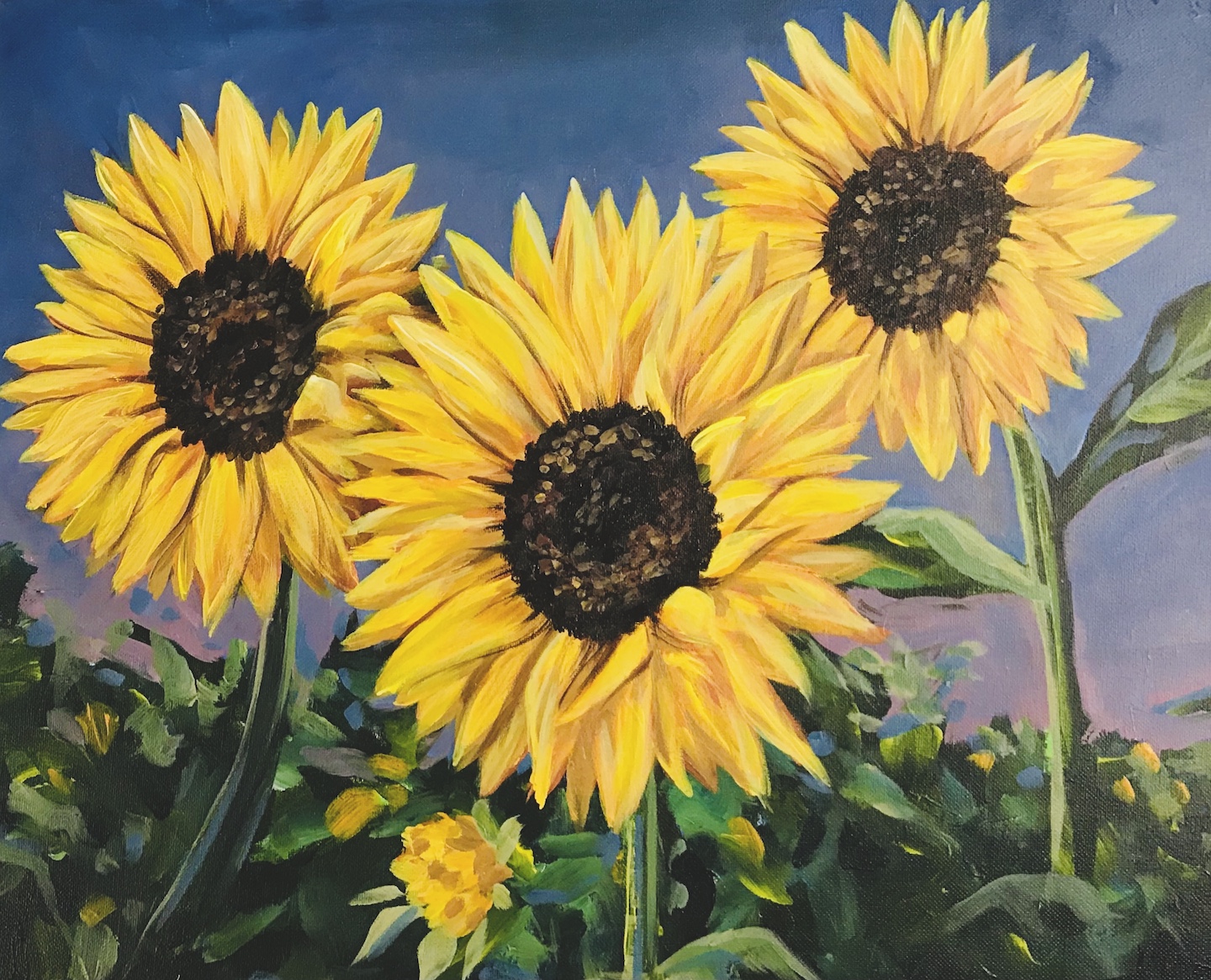 Sunflowers at Dusk | 3:00-5:00pm