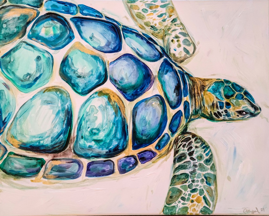 Opal beach turtle 