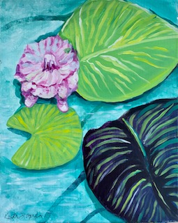 Lily Pad