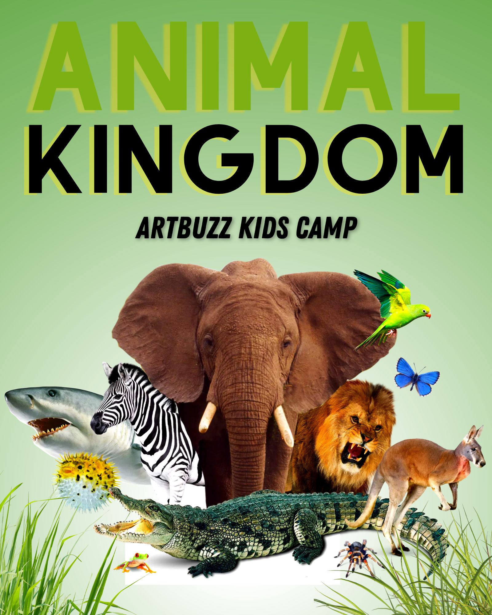 Animal Kingdom ART CAMP