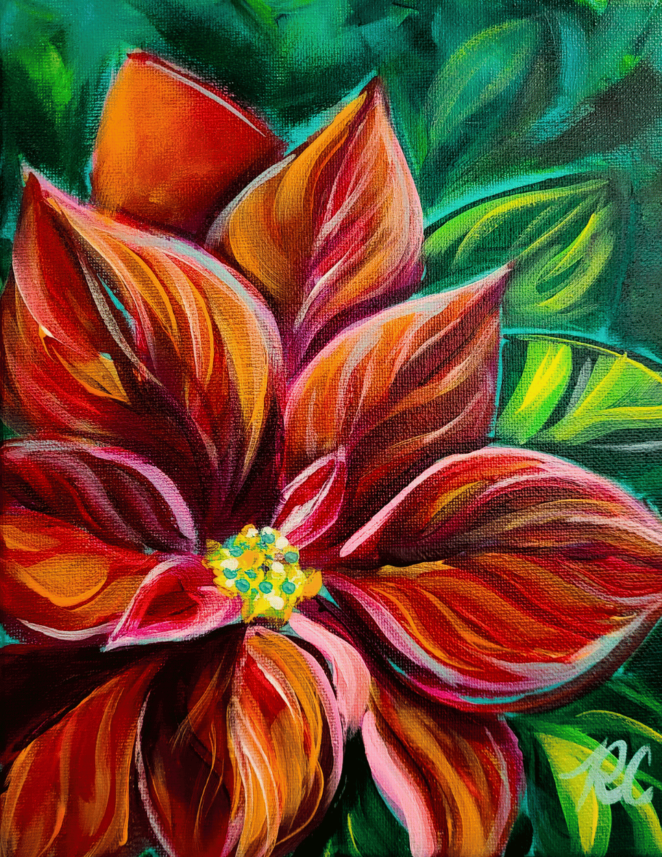 Holiday Blossom