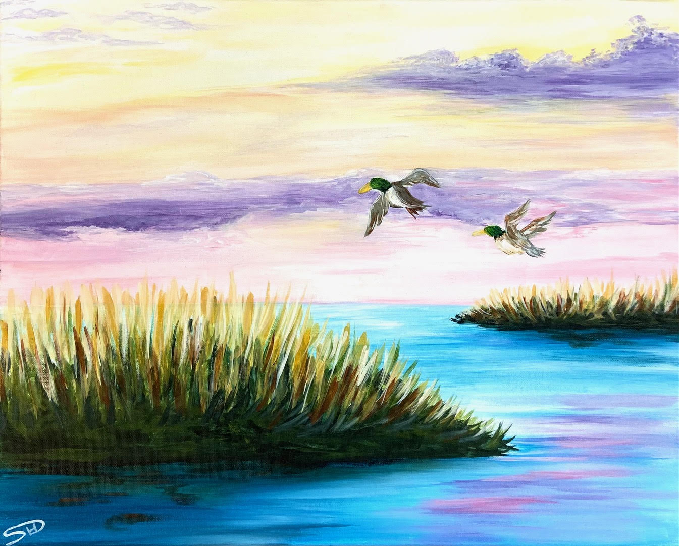 South Carolina Marsh