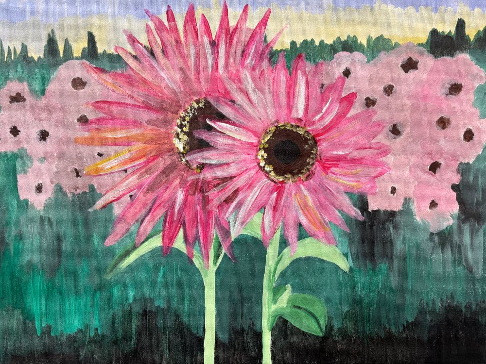 Pink Sunflowers