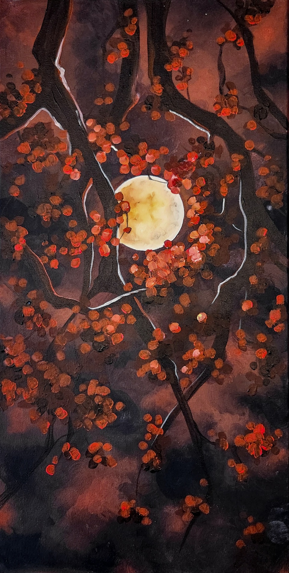 Midnight Moon