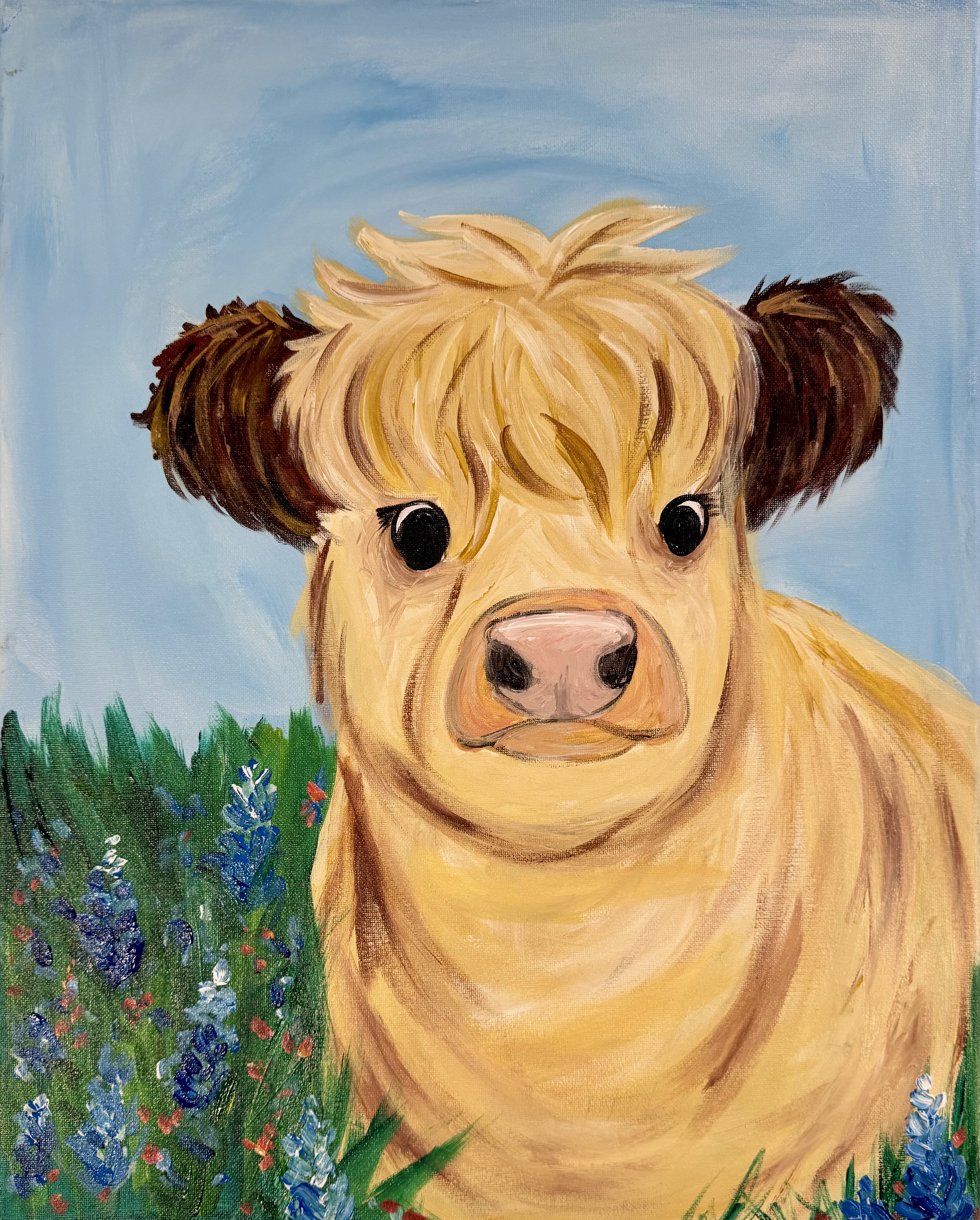 New! Baby Highland
