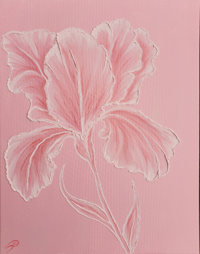 Unveiled Beauty 3-D Workshop