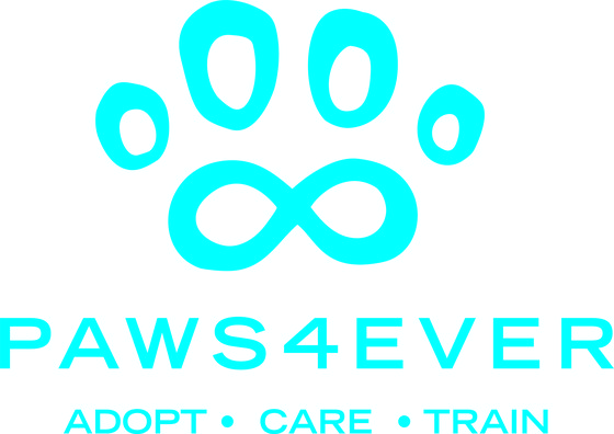 Paws4Ever Fundraiser: Paint Your Pet