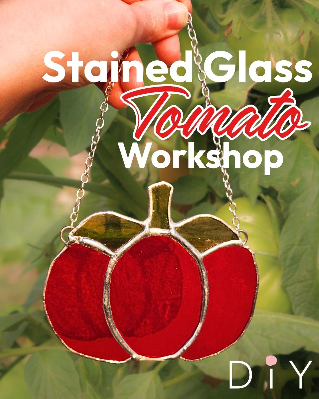 Tomato Stained Glass 