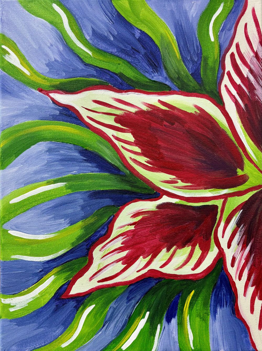 NEW!  BUTTERFLY AMARYLLIS