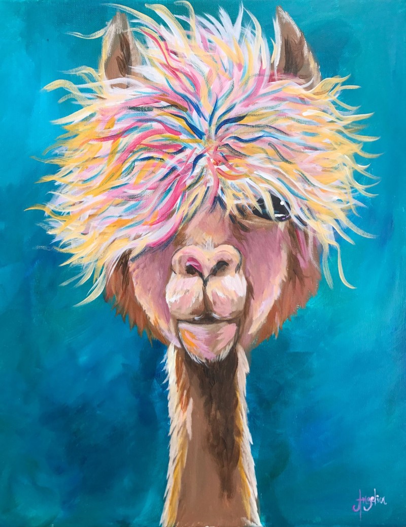 Allie the Alpaca