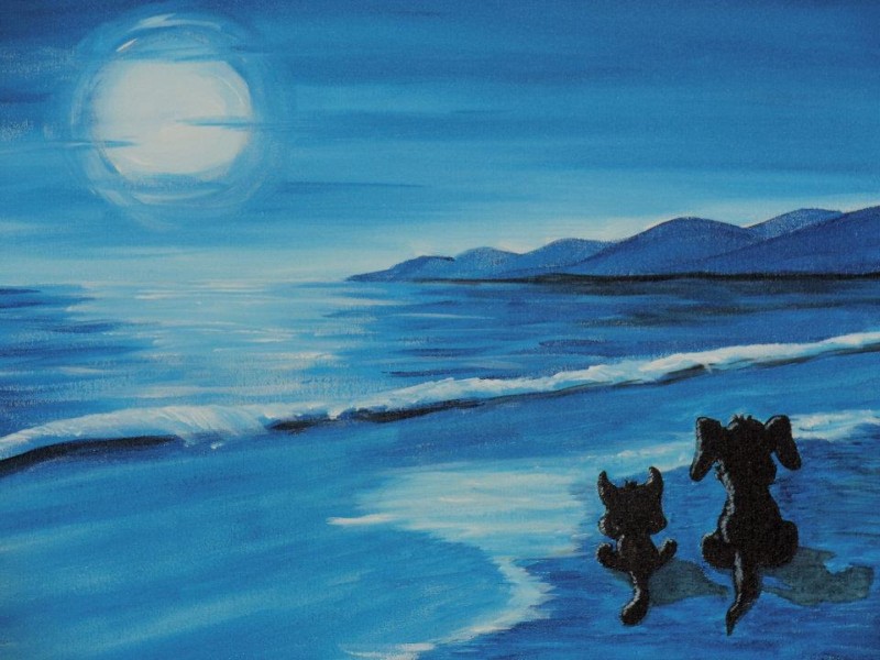 Moonlit Beach Buddies