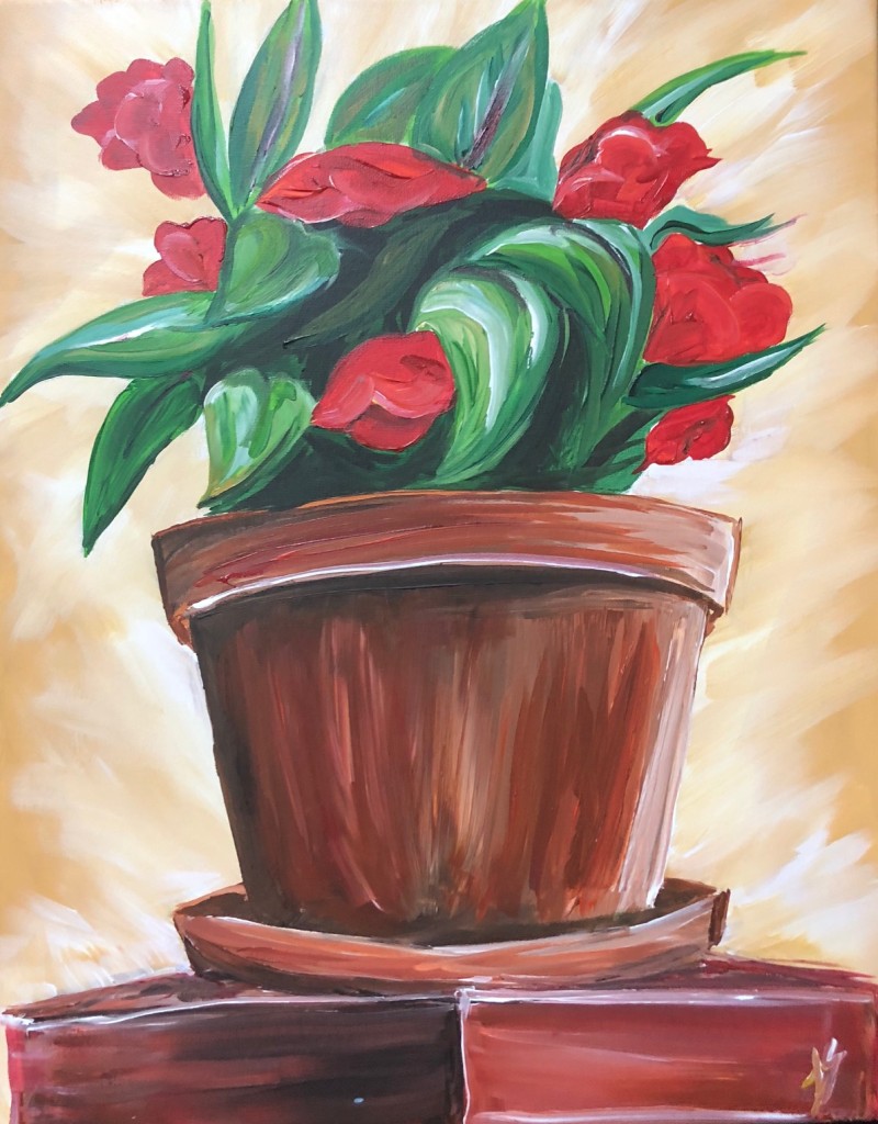Begonias 