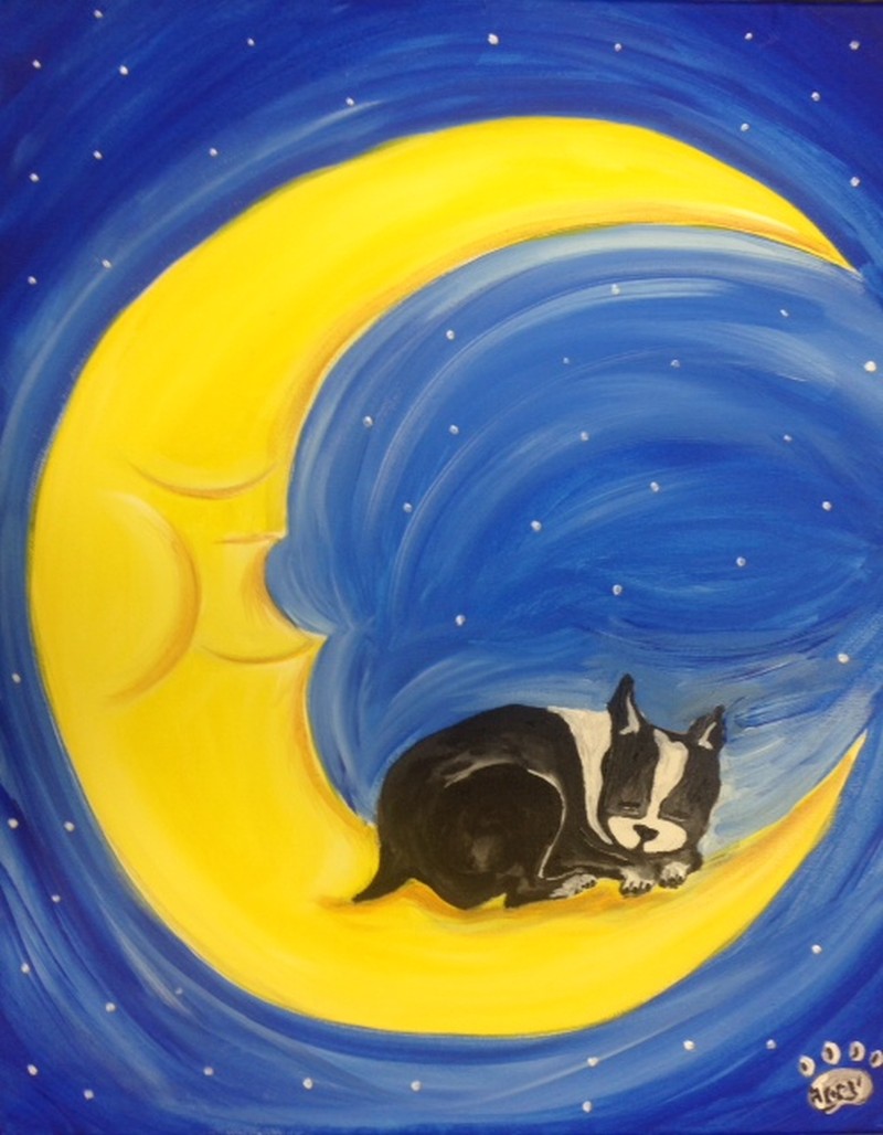 Sleeping Dog on Moon