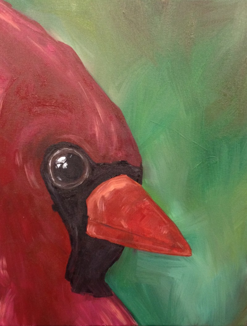 NEW! Cardinal Profile