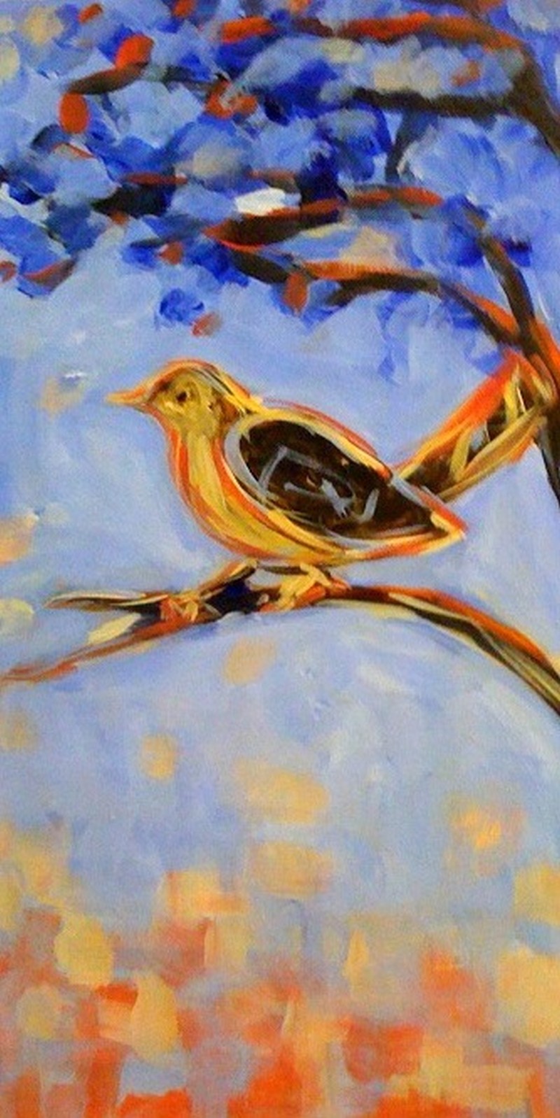 Carolina Wren 