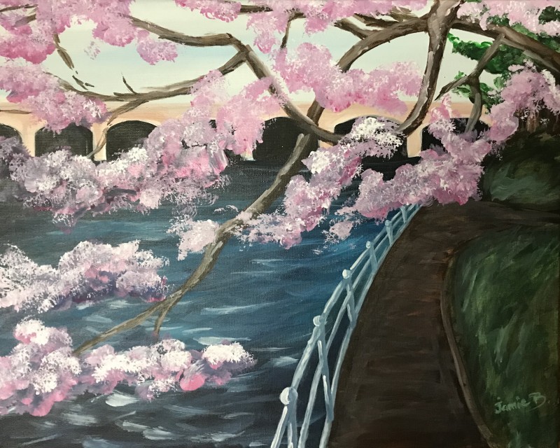 CHERRY BLOSSOM WALK