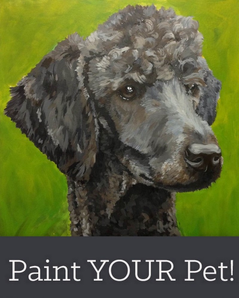 Paint Your Pet - Multiple Canvas Sizes Available