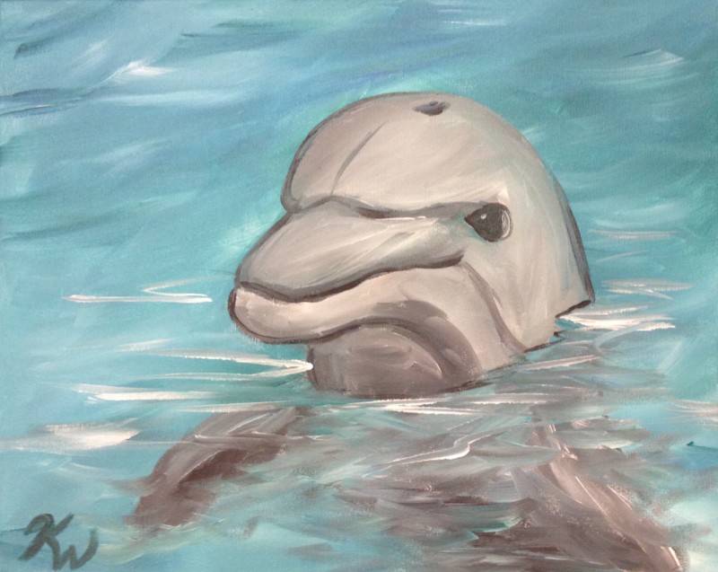 Dolphin Tales