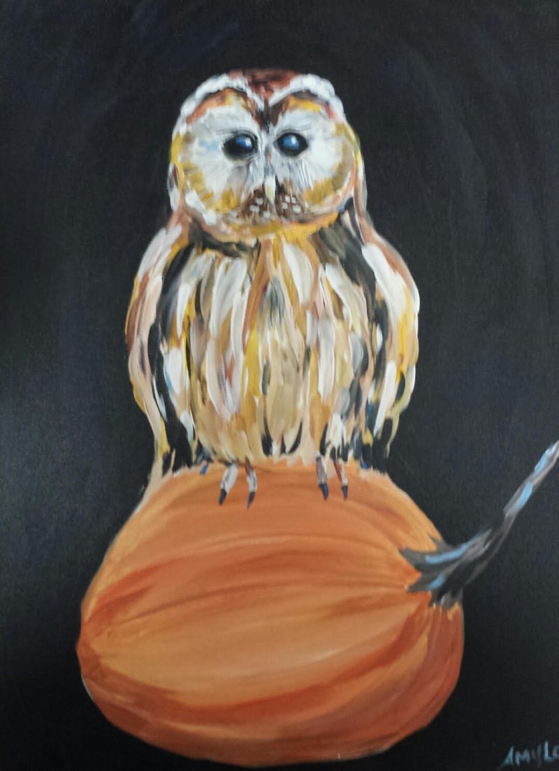 PUMPKIN OWL