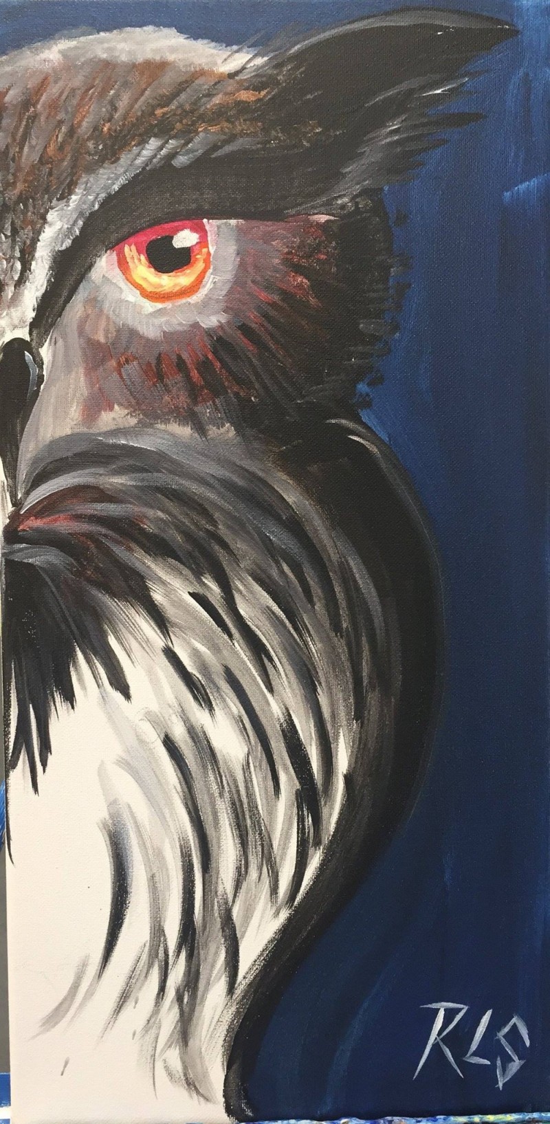 Fierce Owl