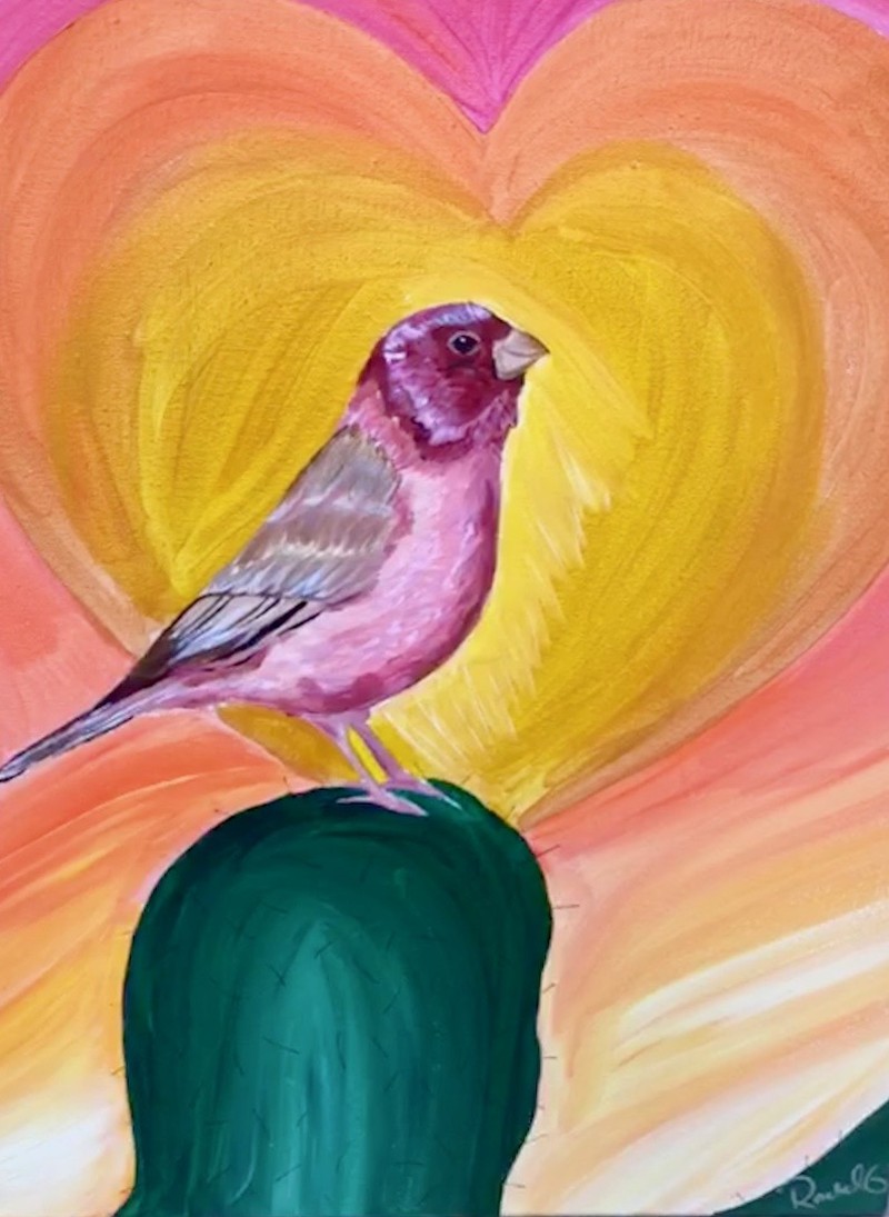Rosefinch Lovebird