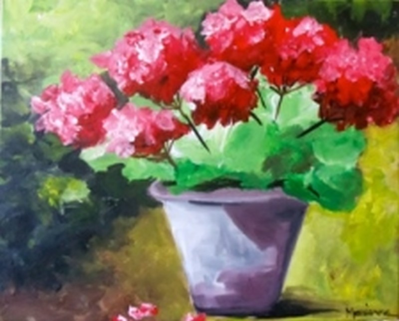 Geraniums