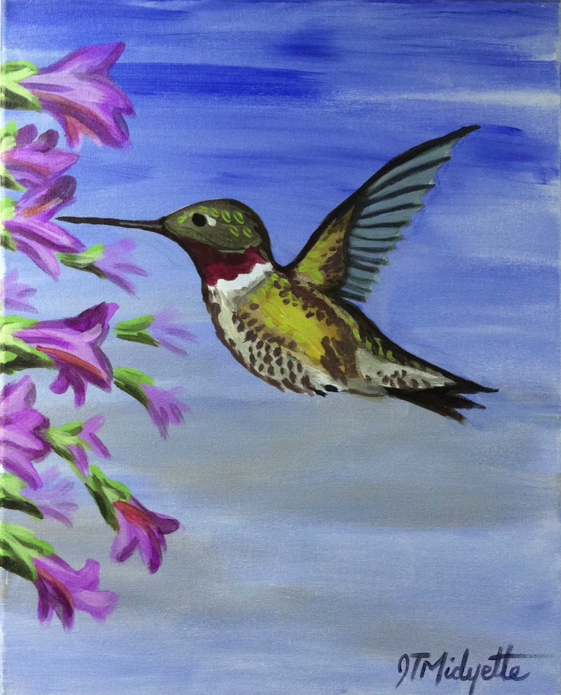 Hummingbird