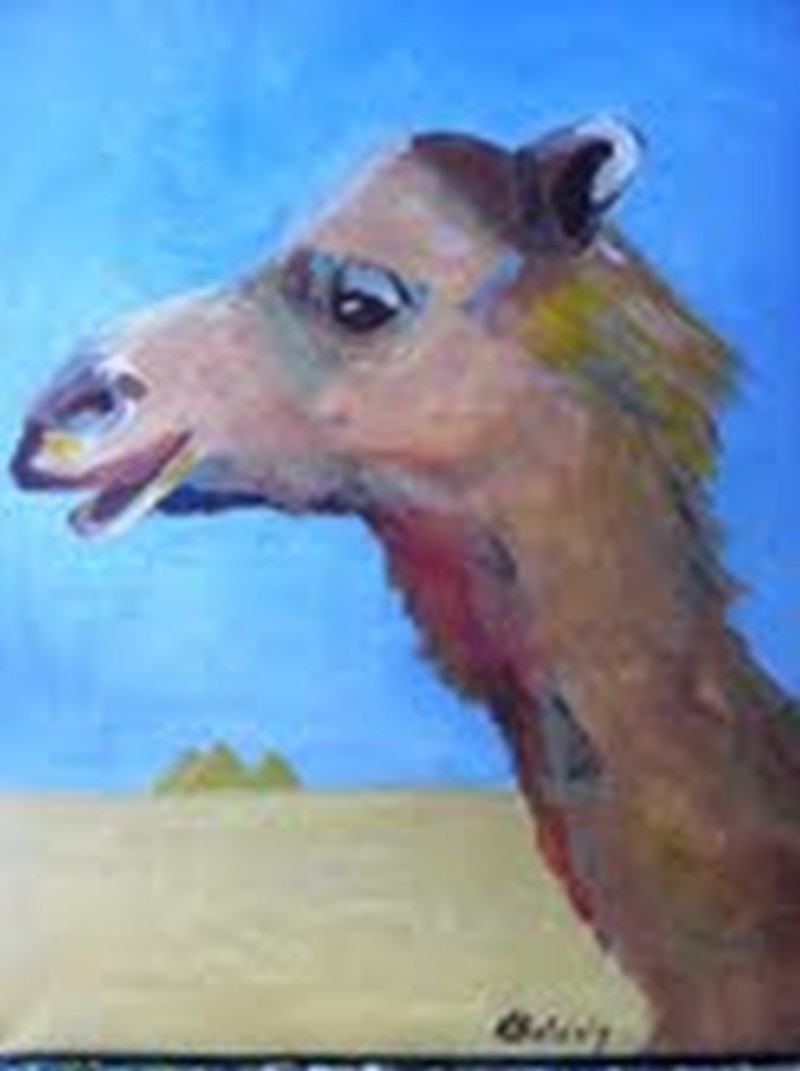 Hump Day Long Lunch with a Camel