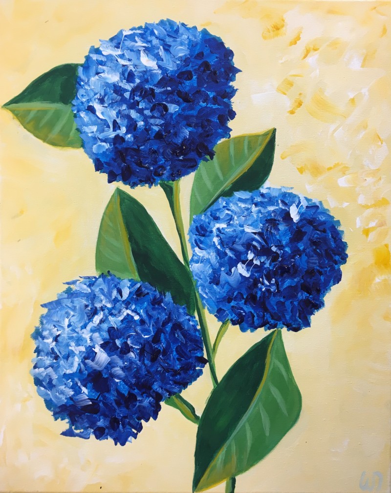 Blue Hydrangeas