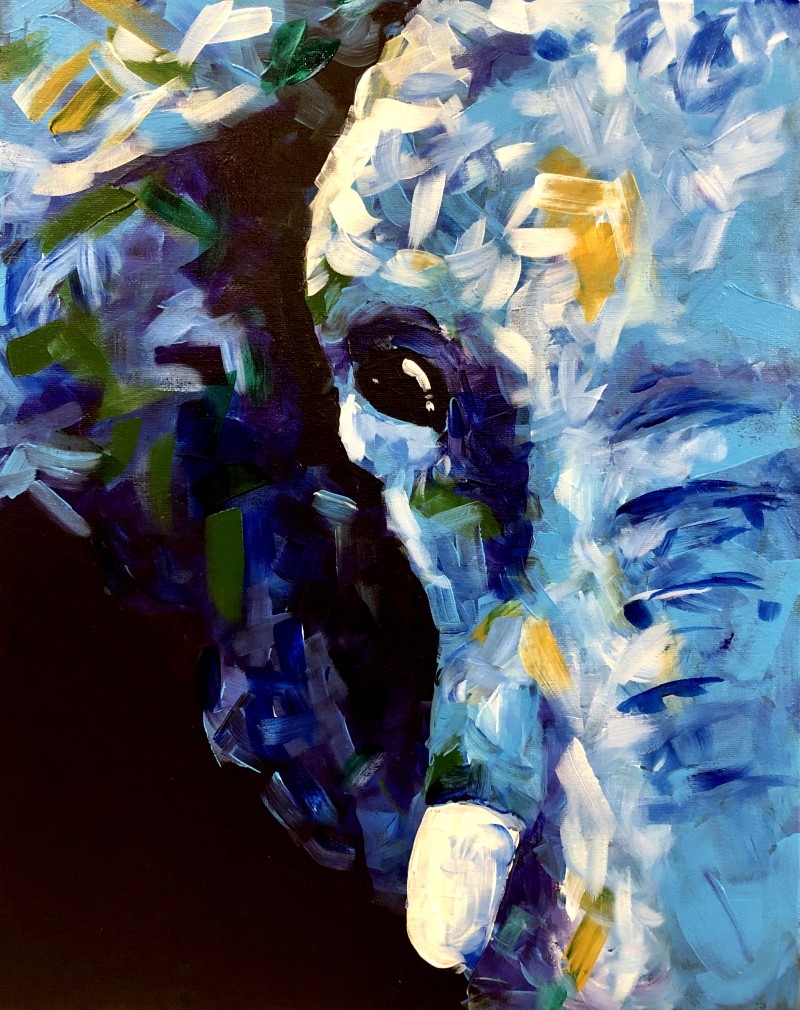 Abstract Elephant (Single canvas) 