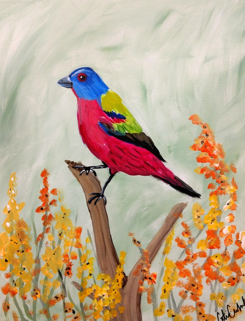 Painted Bunting