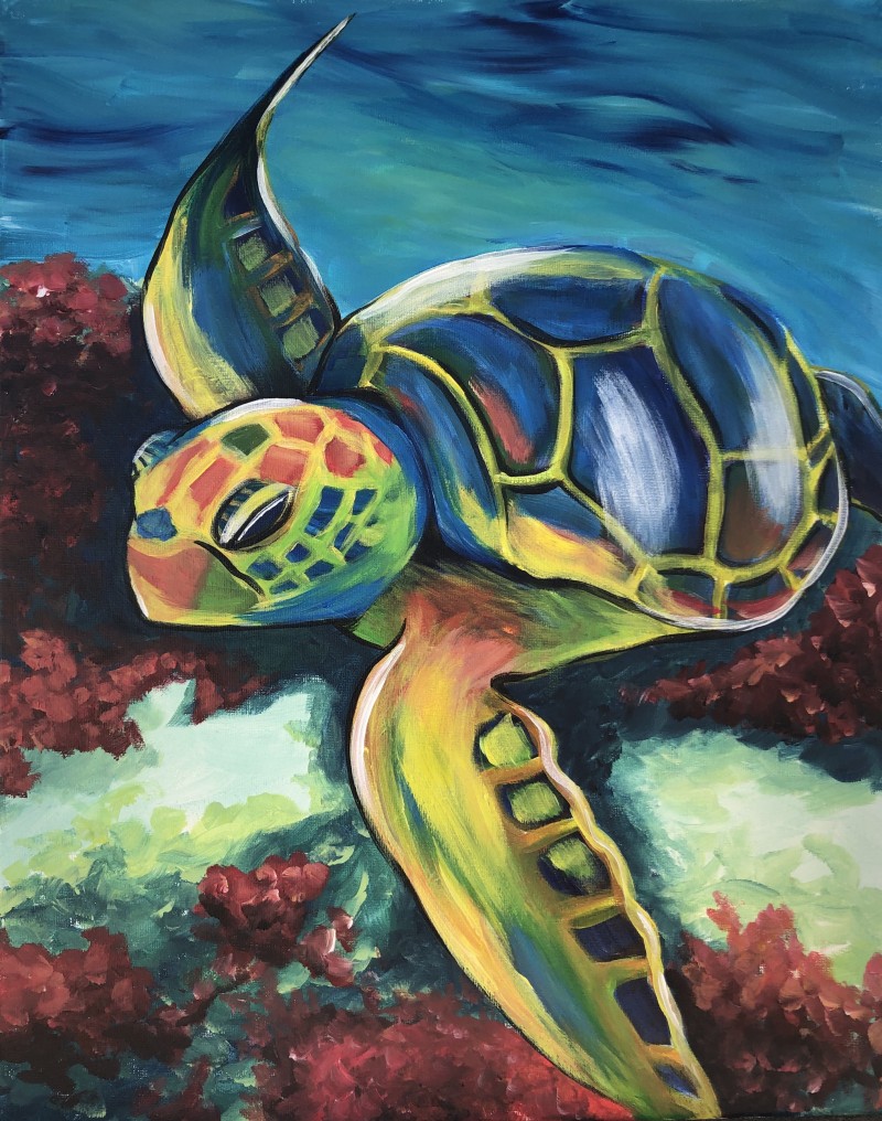 Turtle on the Reef