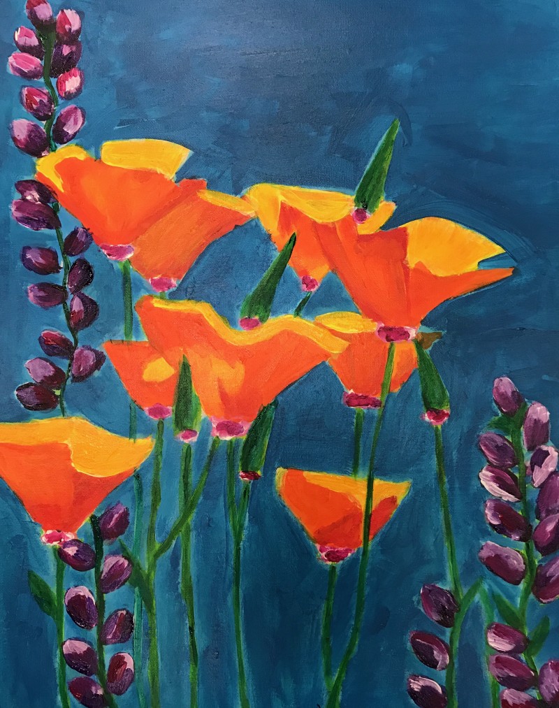 California Poppies