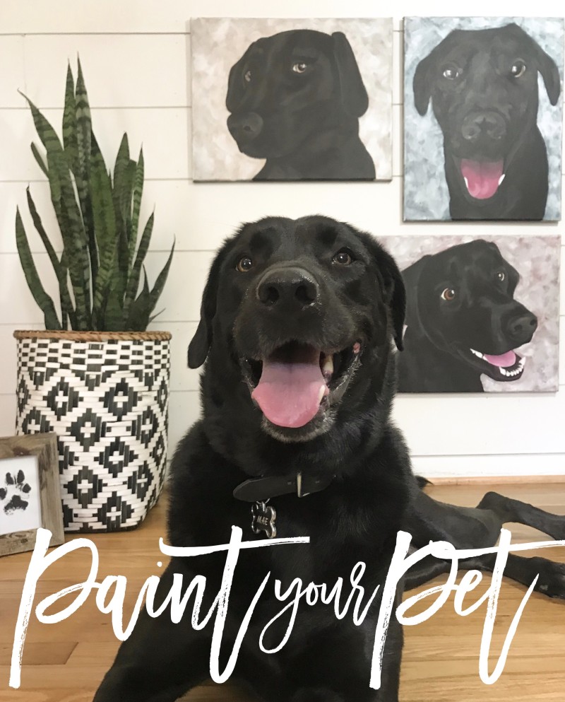 Paint Your Pet on 12x12 canvas | Reserve by August 14