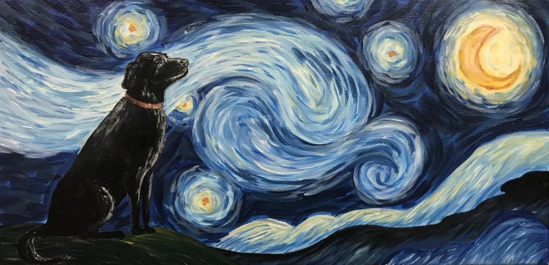 Starry Night Paint Your Pet! 7:00-9:00pm