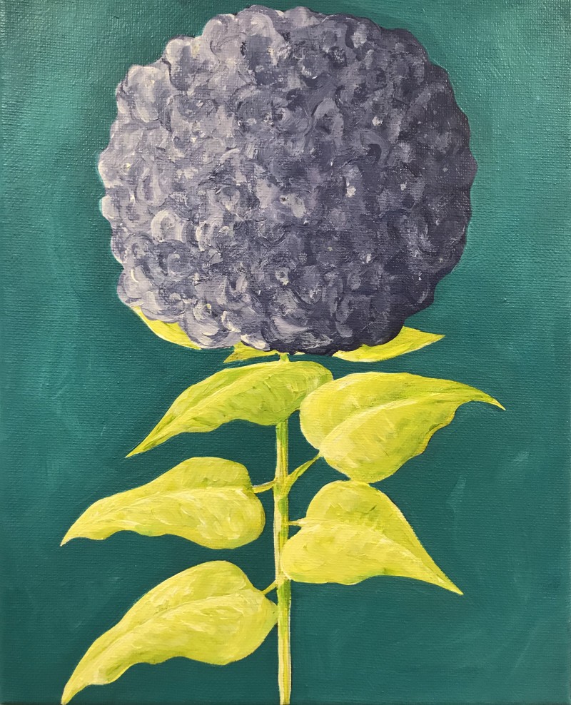 Violet Hydrangea 