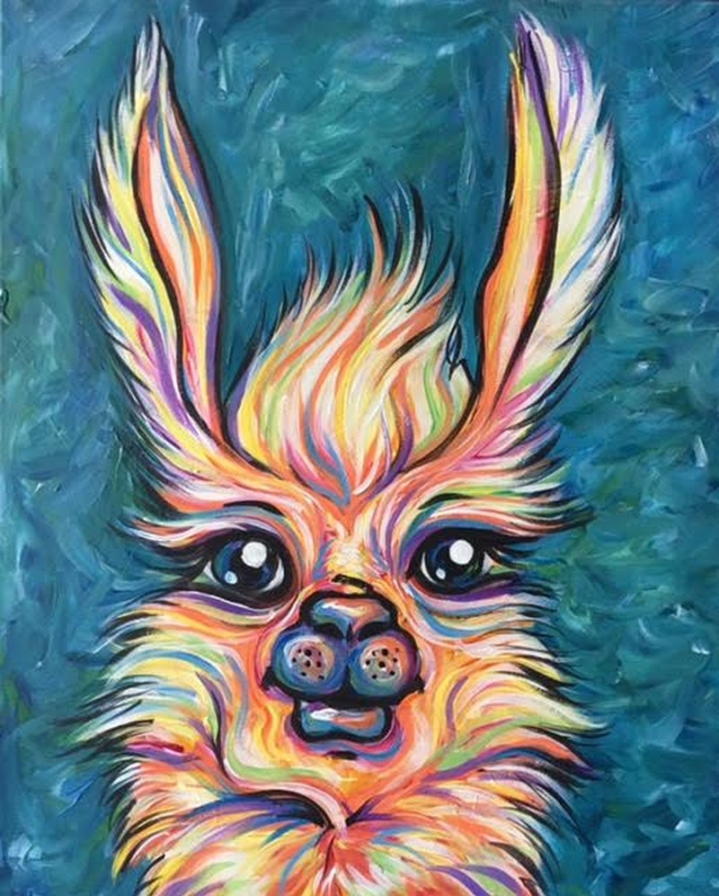 Lucy the Llama