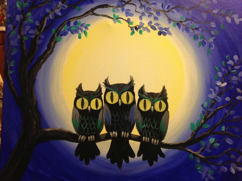 Midnight Owls 