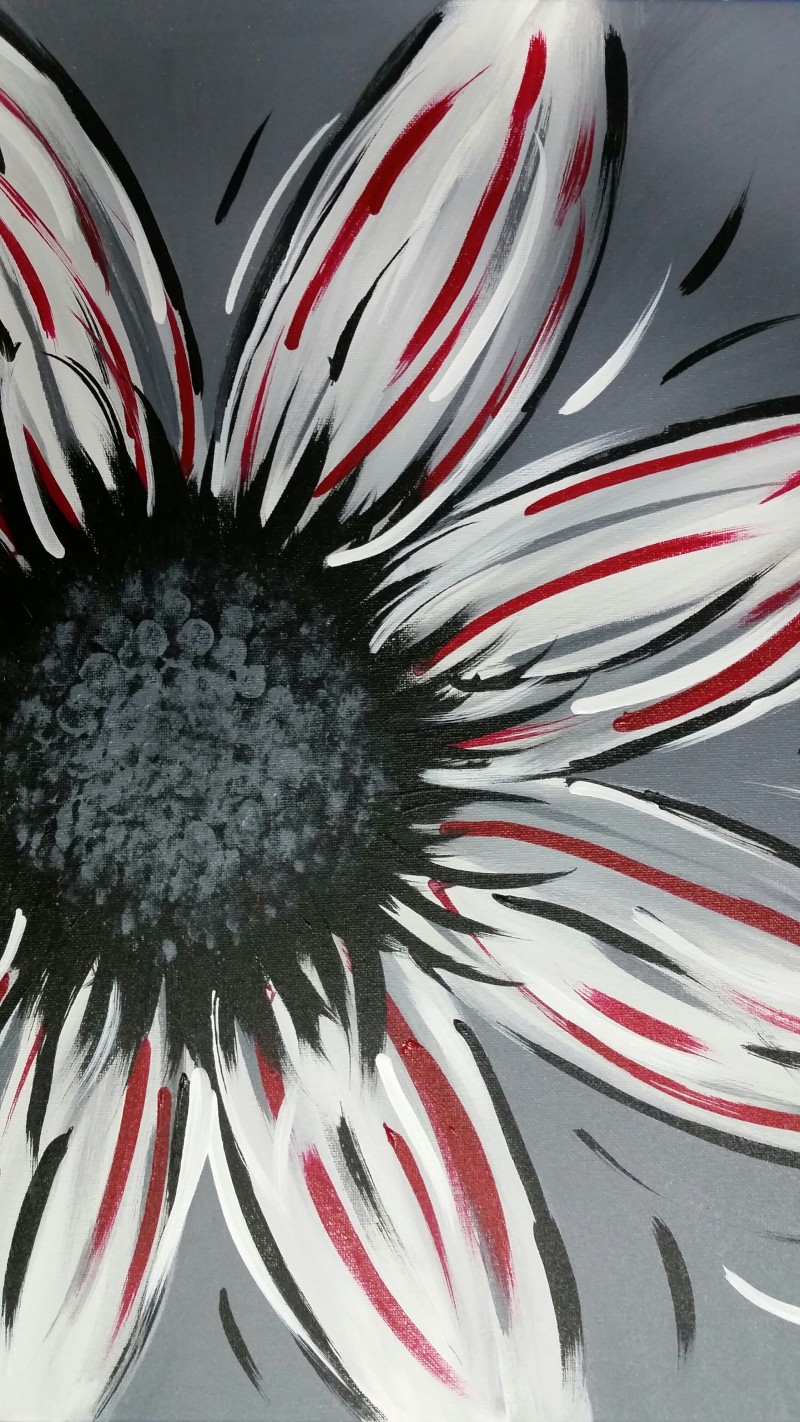 Monochrome Pop (Customize your paint colors) Kansas City/Northland