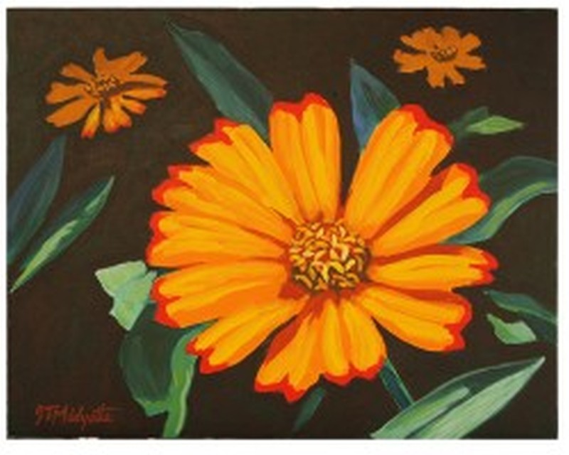 Orange Summer Flower