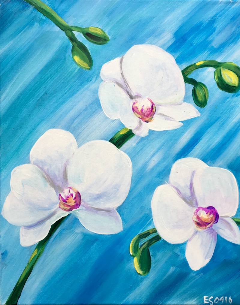 Wine & Design Franklin, TN Paint & Sip Wine Parties Wine & Design