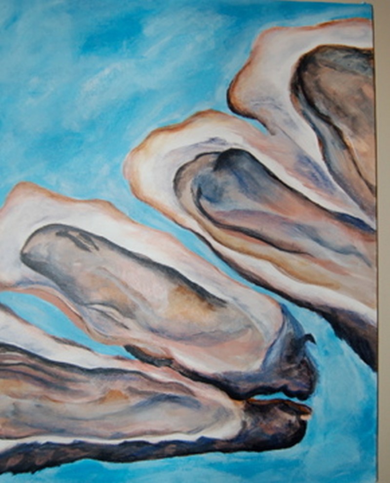 Oysters