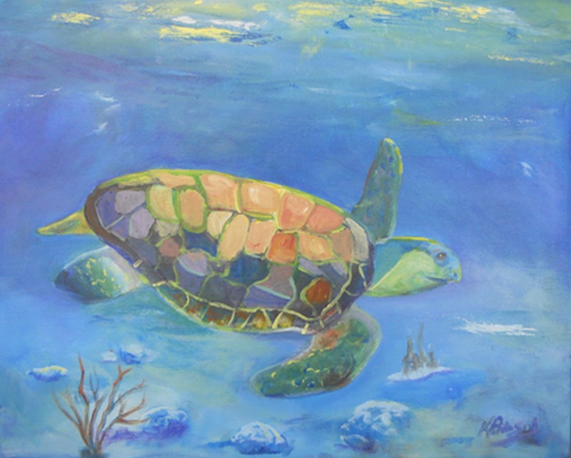 Sea Turtle Time!