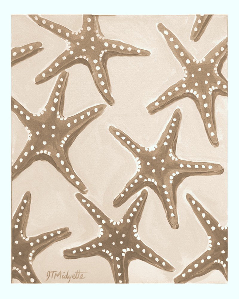 Sandy Starfish
