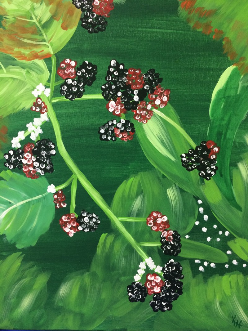 Sunripend Berries