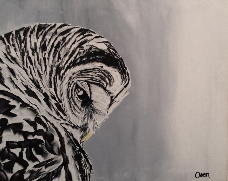 Thinking Owl
