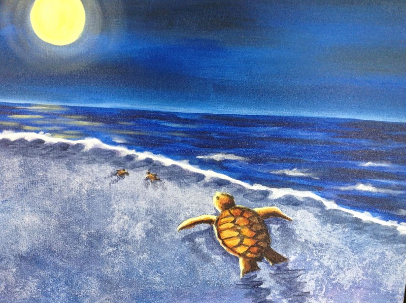 Paint by Day | Turtle Return