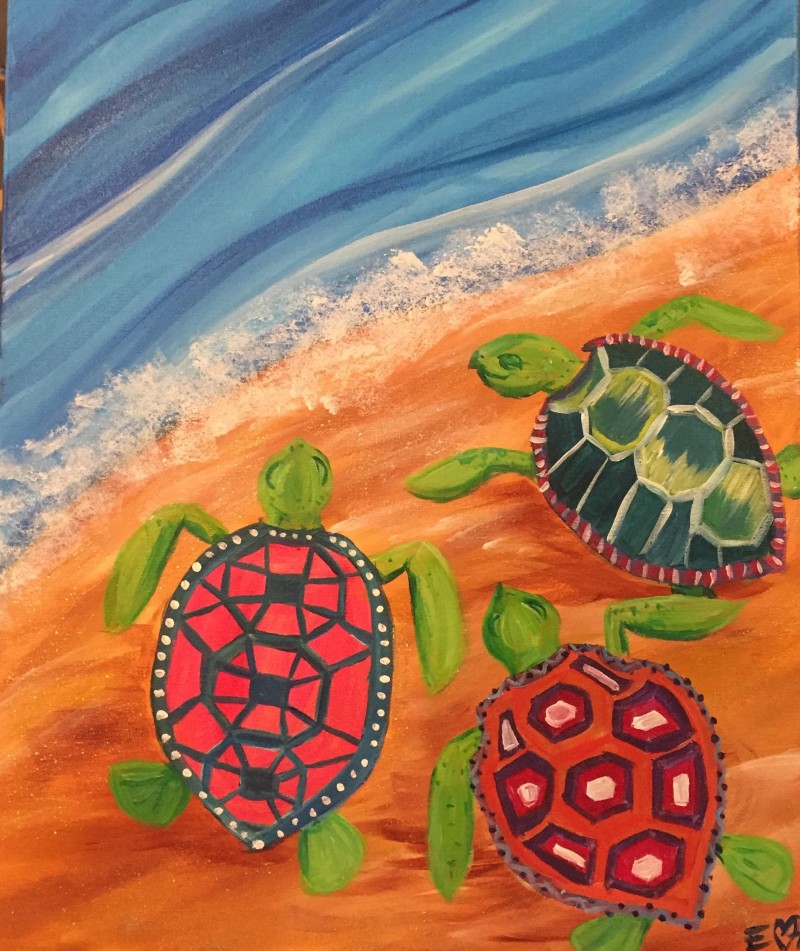 Sea Turtle Suprise