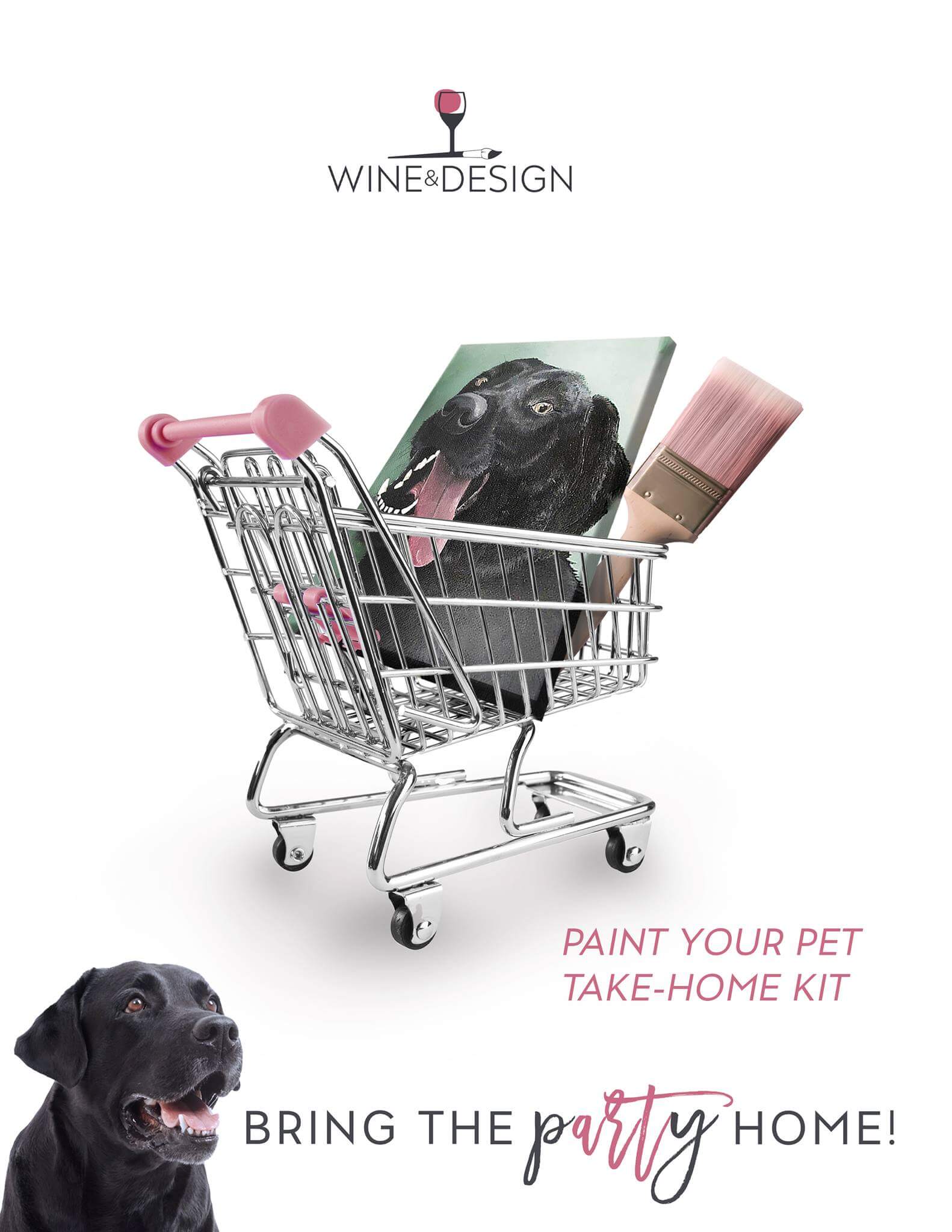 Paint Your Pet Kit