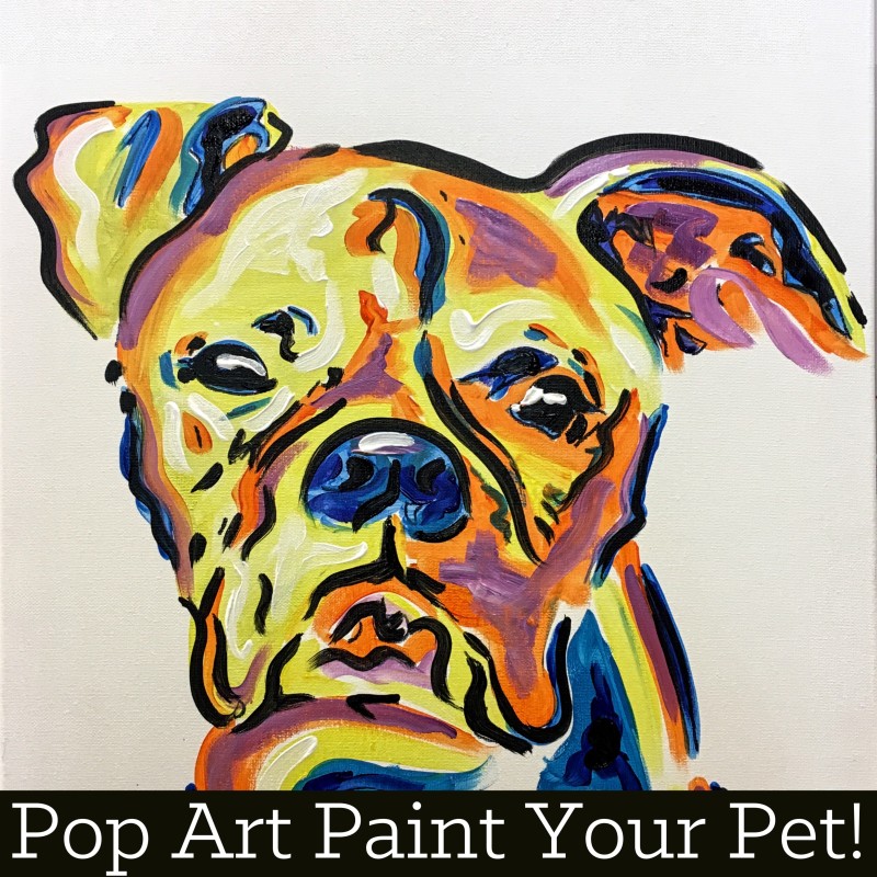 POP ART PAINT YOUR PET KIT